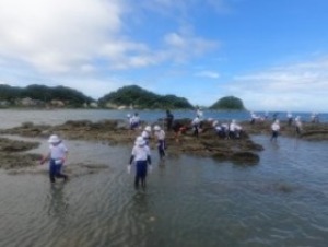 GOPR0034